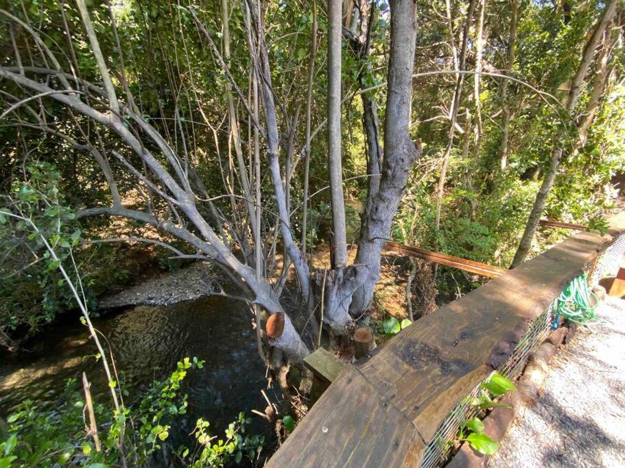 Acogedora Cabana Al Borde Del Rio Claro Villa Pucon Ngoại thất bức ảnh